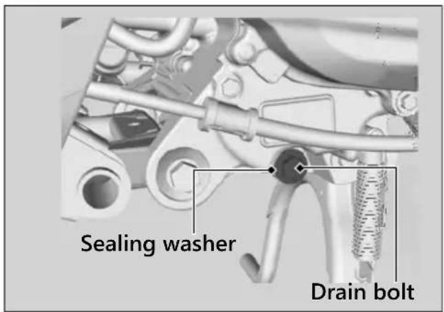 Sealing washer Drain bolt