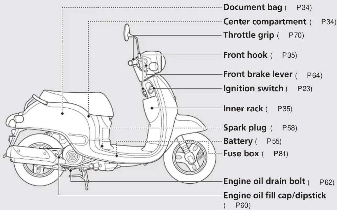 Document bag ( P34) Center compartment ( P34) Throttle grip ( P70) Front hook ( P35) Front brake lever ( P64) Ignition switch ( P23) Inner rack ( P35) Spark plug ( P58) Battery ( P55) Fuse box ( P81) Engine oil drain bolt ( P62) Engine oil fill cap/dipstick ( P60)
