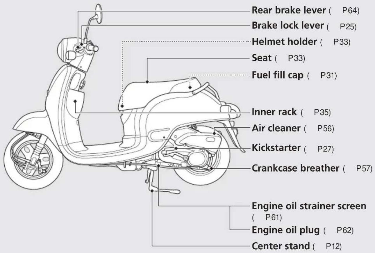 Rear brake lever ( P64 ) Brake lock lever ( P25 ) Helmet holder ( P33 ) Seat ( P33 ) Fuel fill cap ( P31 ) Inner rack ( P35 ) Air cleaner ( P56 ) Kickstarter ( P27 ) Crankcase breather ( P57 ) Engine oil strainer screen ( P61 ) Engine oil plug ( P62 ) Center stand ( P12 )