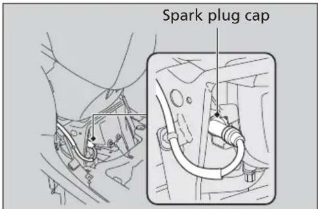 Spark plug cap