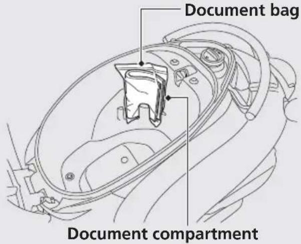 Document bag Document compartment