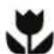 ELECTROLUX EUM0900SA - IMPORTANT - 1