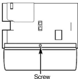 Screw