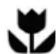 WESTINGHOUSE WQE6870BA - IMPORTANT - 1