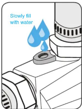 Slowly fill with water