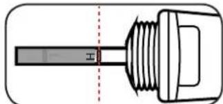 Ozito PFFP-65E - Adding Oil - 3