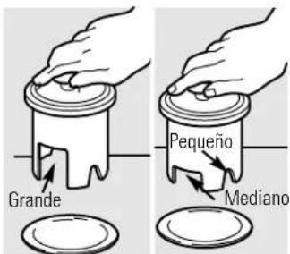 Grande Pequeño Mediano