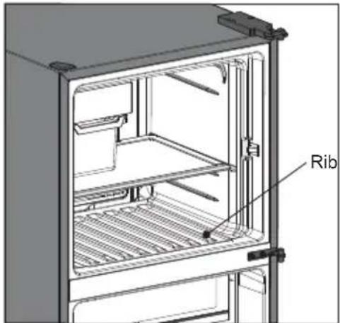 Rib