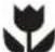 ELECTROLUX ESE6141A-B - tips dan informasi - 1
