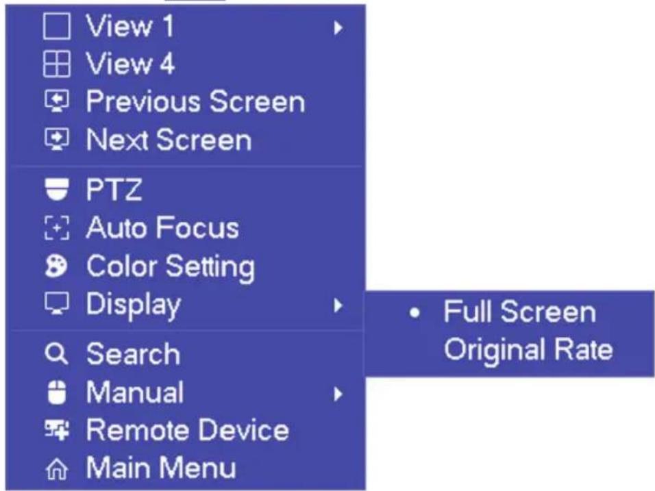 View 1 View 4 Previous Screen Next Screen PTZ Auto Focus Color Setting Display Search Manual Remote Device Main Menu Full Screen Original Rate
