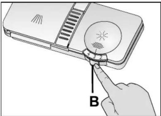 B
