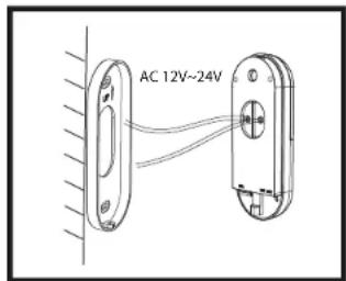 AC 12V~24V