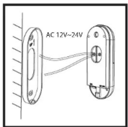 AC 12V~24V