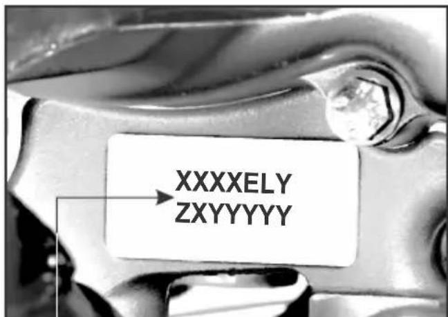 XXXXELY ZXYYYYY