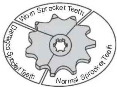 Wom Sprocket Teeth Damaged Sprocket Teeth Normal Sprocket Teeth