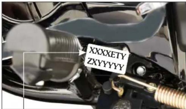 XXXXETY ZXYYYYY