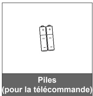 Piles (pour la télécommande)