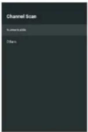 Channel Scan Numericable Other