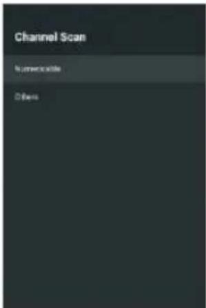 Channel Scan Numerable Others