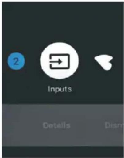 2 Inputs Details Disrr