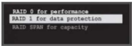 RAID 0 for performance RAID 1 for data protection RAID SPAN for capacity
