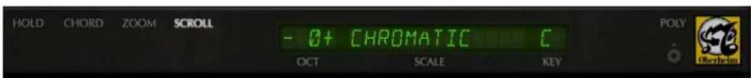 HOLD CHORD ZOOM SCROLL - 0+ CHROMATIC C OCT SCALE KEY POLY 542 Standard