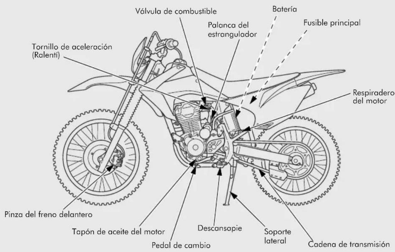Válvula de combustible Batería Fusible principal Palanca del estrangulador Tornillo de aceleración (Ralenti) Respiradero del motor Pinza del freno delantero Tapón de aceite del motor Descansapie Pedal de cambio Soporte lateral Cadena de transmisión