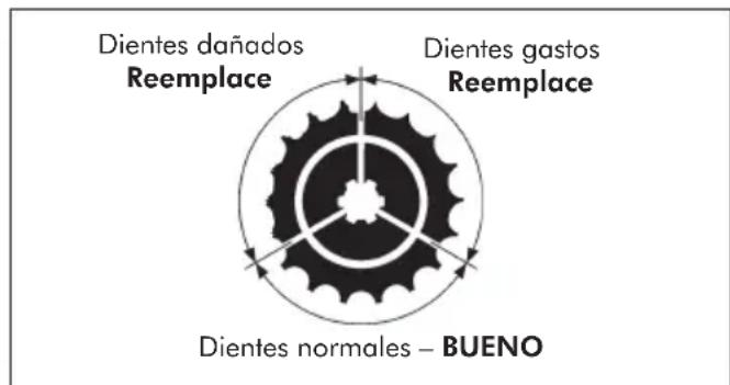 Dientes dañados Reemplace Dientes gastos Reemplace Dientes normales – BUENO