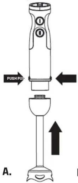 PUSH PUS A.