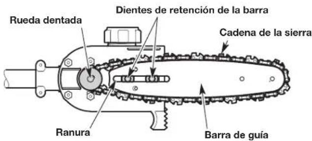 Rueda dentada Dientes de retención de la barra Cadena de la sierra Ranura Barra de guía