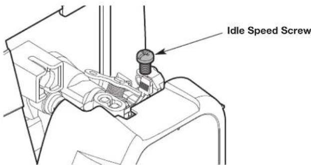 Idle Speed Screw