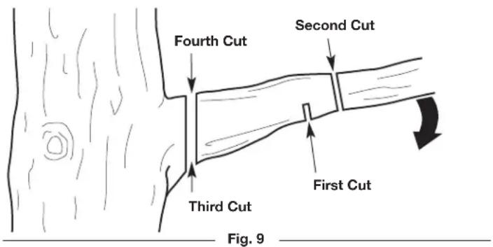 Fourth Cut Second Cut Third Cut First Cut Fig. 9
