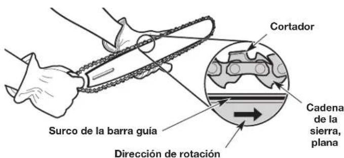 Cortador Surco de la barra guía Dirección de rotación Cadena de la sierra, plana