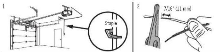 1 Staple 2 7/16" (11 mm)