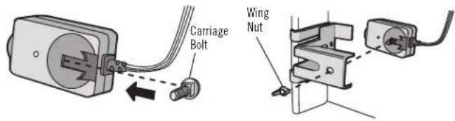 Carriage Bolt Wing Nut