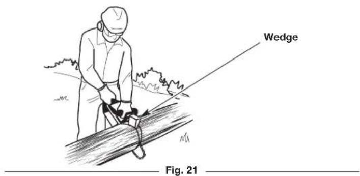 Wedge Fig. 21