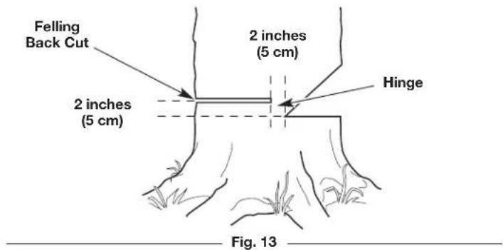 Felling Back Cut 2 inches (5 cm) Hinge 2 inches (5 cm) Fig. 13