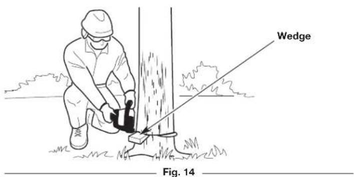 Wedge Fig. 14