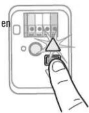 en