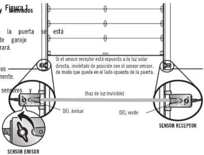 Figura 1 ameados la puerta se está de garaje rará. los mente. sensores y DEL ámbar SI el sensor receptor está expuesto a la luz solar directa, inviertalo de posición con el sensor emisor, de modo que quede en el lado opuesto de la puerta. (haz de luz invisible) DEL verde SENSOR RECEPTOR SENSOR EMISOR