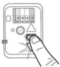 en