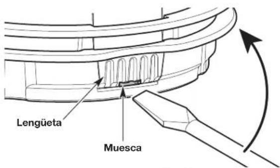 Lengüeta Muesca