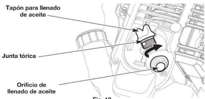 Tapón para llenado de aceite Junta tórica Orificio de llenado de aceite Fig. 10