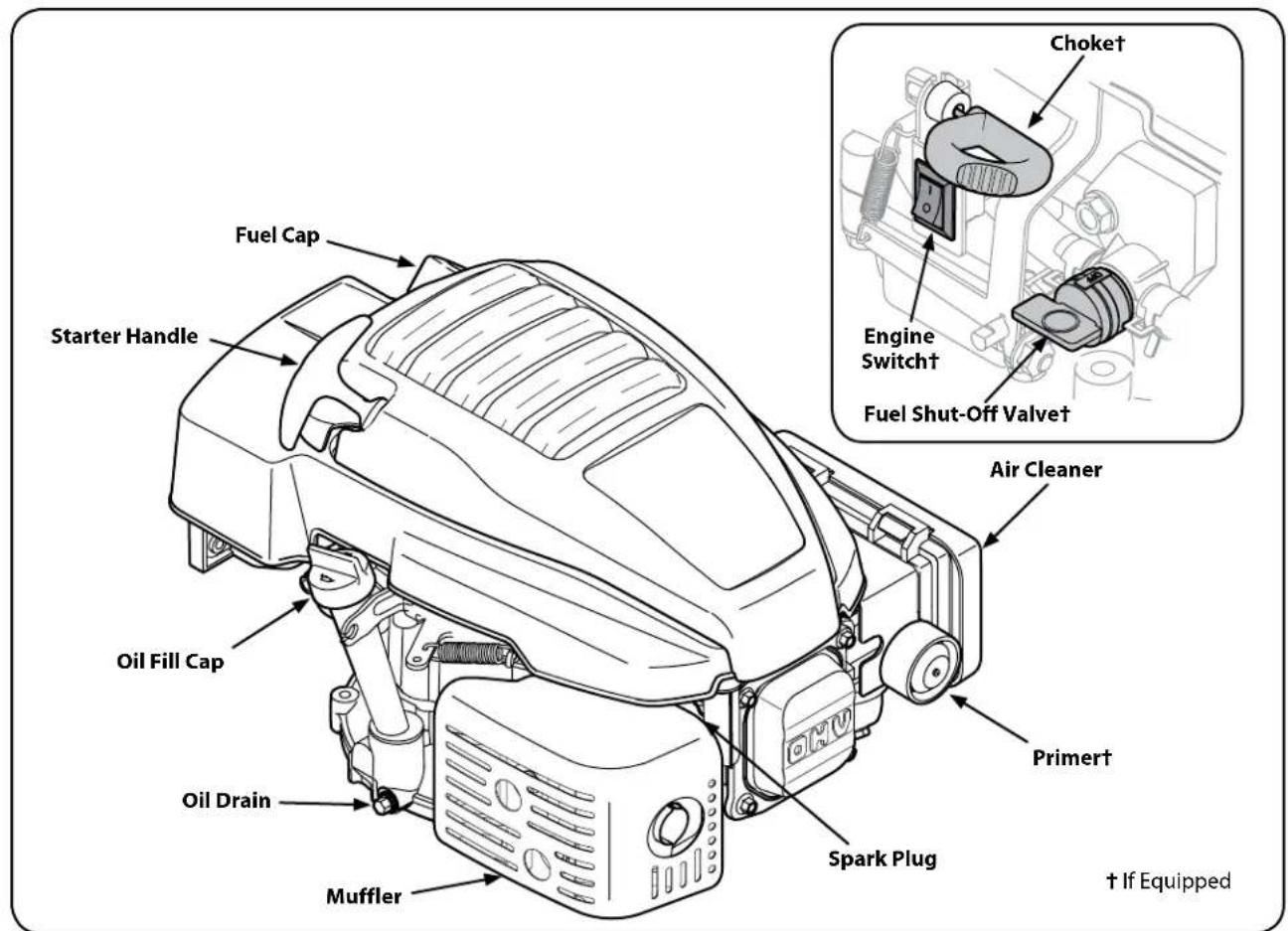 Fuel Cap Starter Handle Oil Fill Cap Oil Drain Muffler Choket Engine Switch† Fuel Shut-Off Valvet Air Cleaner Primert Spark Plug † If Equipped