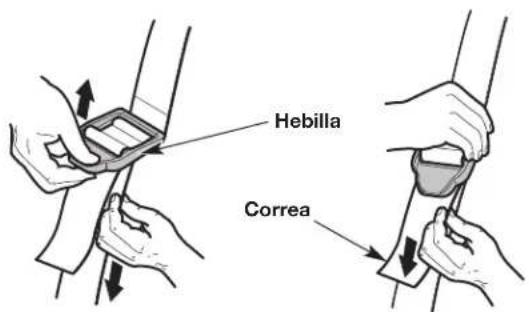Hebilla Correa