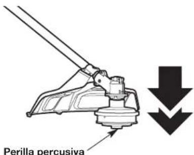 Perilla percusiva