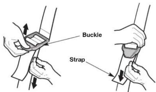 Buckle Strap