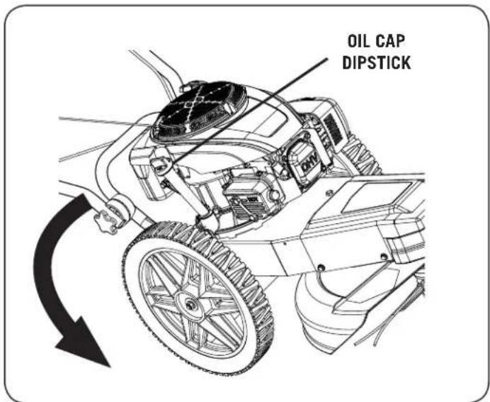 OIL CAP DIPSTICK