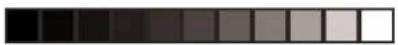 CLARION APX2120 - FCC Approval - 1
