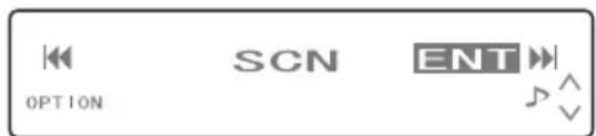 OPTION SCN ENT
